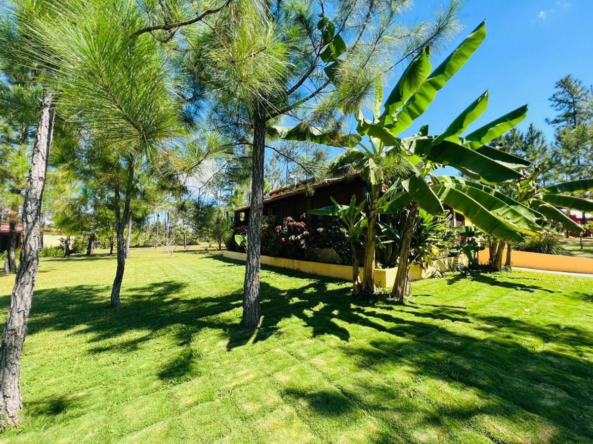 Kane Villas - Mountain Pine Ridge San Ignacio Exterior foto